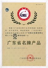 廣東省名牌產(chǎn)品